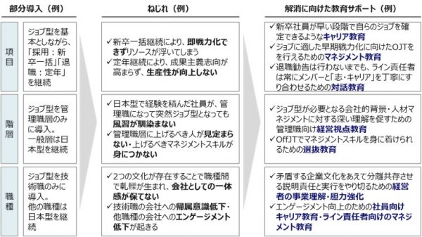 図3：一部導入に伴うねじれの例と、その解消に向けた教育サポート例