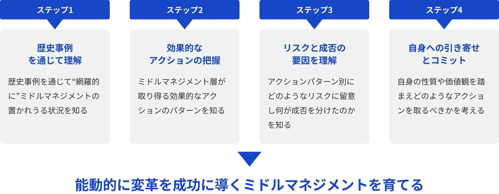 プログラム概要のステップ