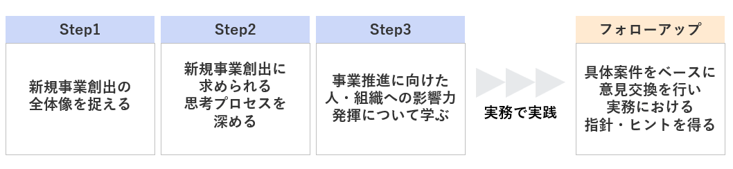 ＜新事業推進担当者向けワークショップの全体像＞