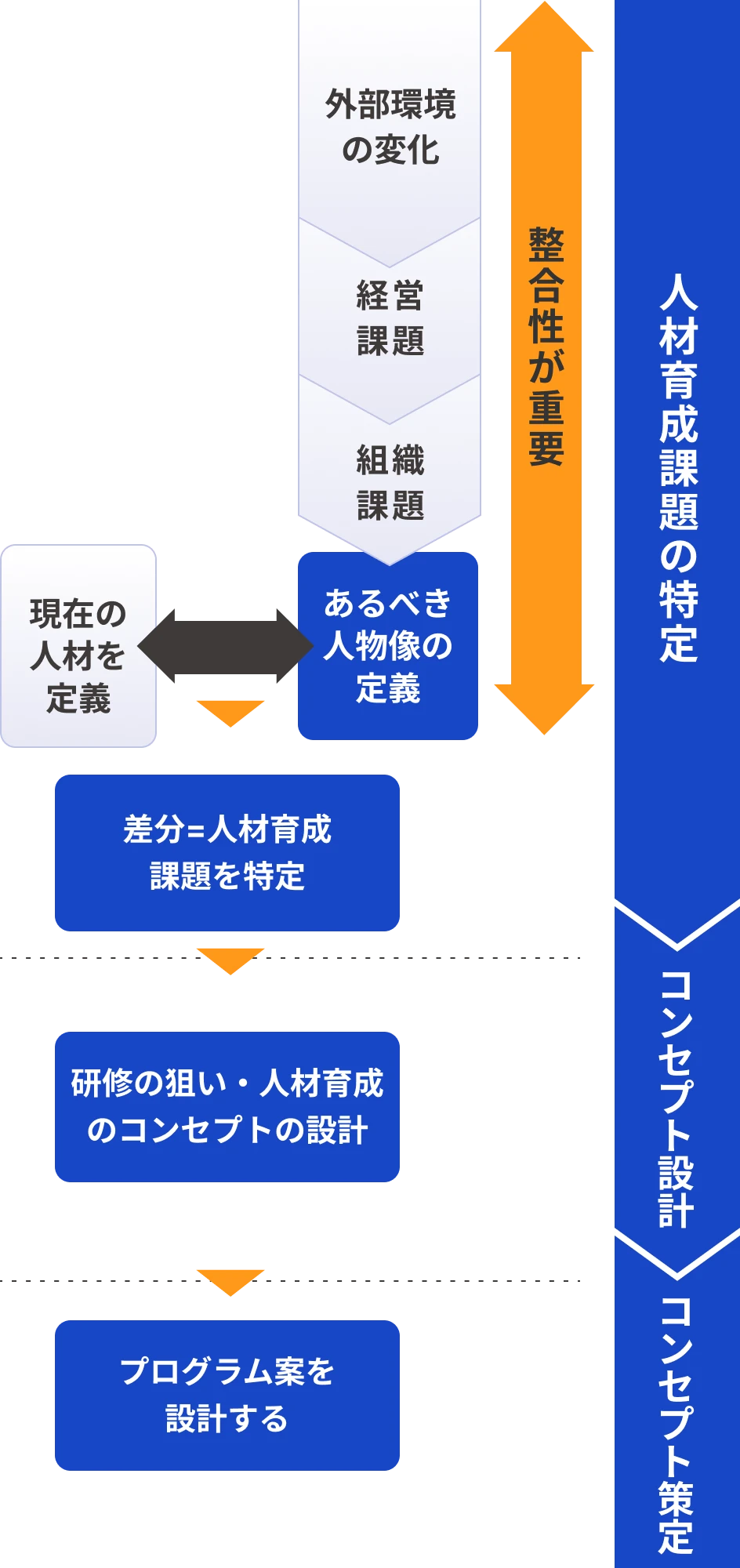 育成体系の構築