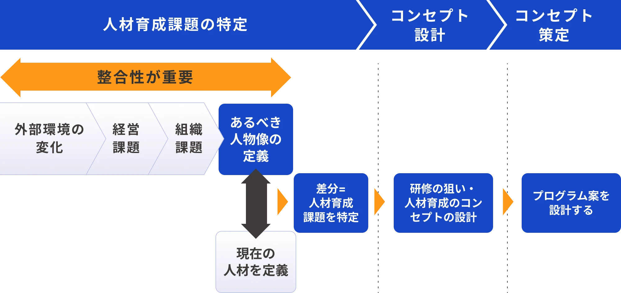 育成体系の構築