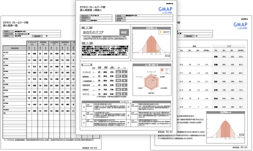 GMAPレポート資料イメージ