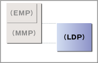 LDP