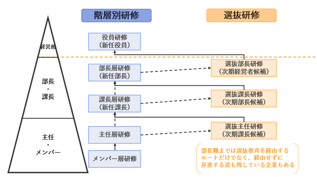 選抜研修と階層別研修の組み合わせ例